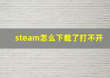 steam怎么下载了打不开