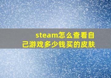 steam怎么查看自己游戏多少钱买的皮肤