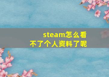 steam怎么看不了个人资料了呢