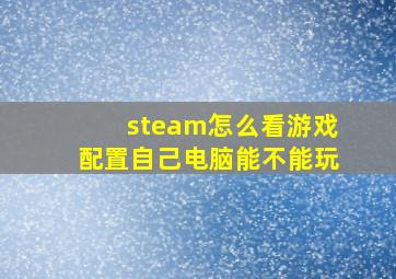 steam怎么看游戏配置自己电脑能不能玩