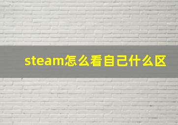 steam怎么看自己什么区