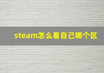 steam怎么看自己哪个区