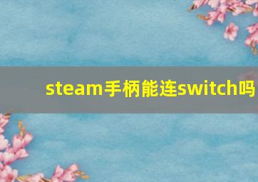 steam手柄能连switch吗