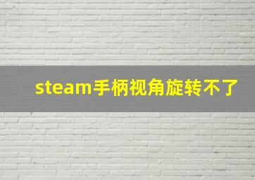 steam手柄视角旋转不了