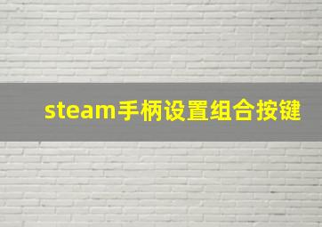 steam手柄设置组合按键