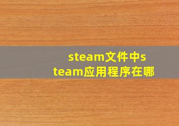 steam文件中steam应用程序在哪