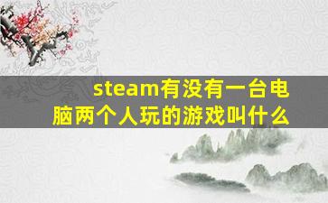 steam有没有一台电脑两个人玩的游戏叫什么