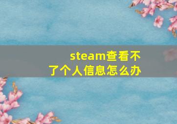 steam查看不了个人信息怎么办