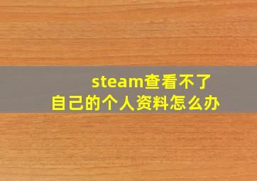 steam查看不了自己的个人资料怎么办