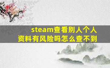 steam查看别人个人资料有风险吗怎么查不到