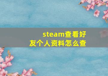 steam查看好友个人资料怎么查