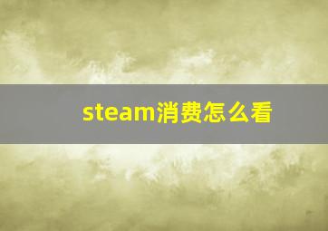 steam消费怎么看