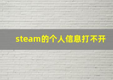 steam的个人信息打不开