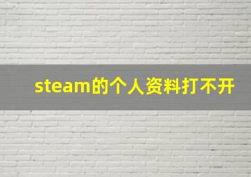 steam的个人资料打不开