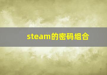 steam的密码组合