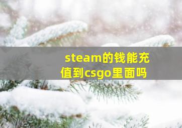 steam的钱能充值到csgo里面吗