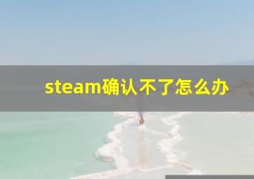 steam确认不了怎么办