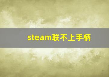 steam联不上手柄