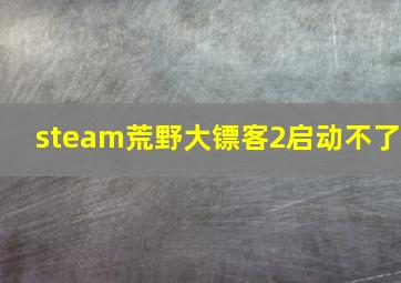 steam荒野大镖客2启动不了