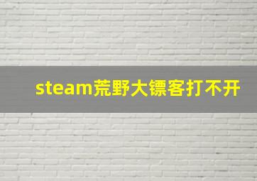 steam荒野大镖客打不开