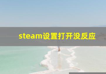 steam设置打开没反应