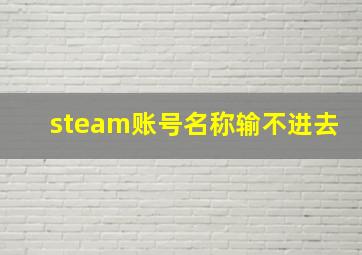 steam账号名称输不进去