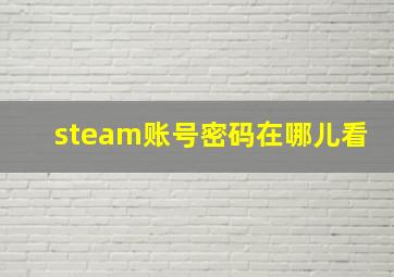 steam账号密码在哪儿看