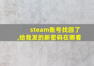 steam账号找回了,给我发的新密码在哪看