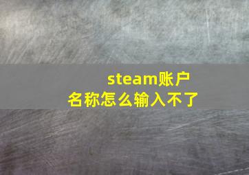 steam账户名称怎么输入不了