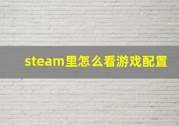 steam里怎么看游戏配置