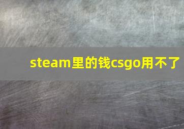 steam里的钱csgo用不了