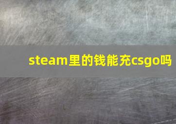 steam里的钱能充csgo吗