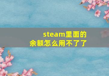 steam里面的余额怎么用不了了