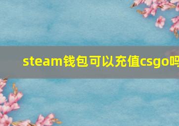 steam钱包可以充值csgo吗