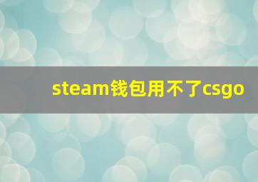 steam钱包用不了csgo