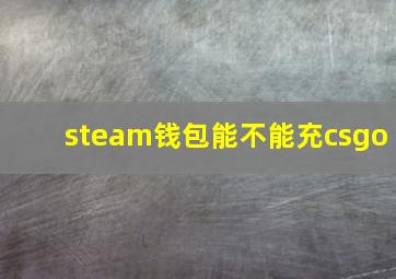 steam钱包能不能充csgo