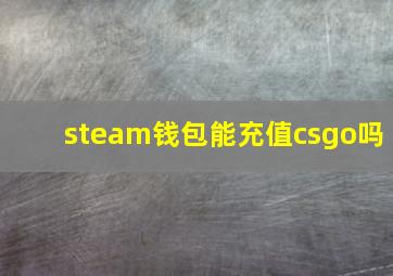 steam钱包能充值csgo吗