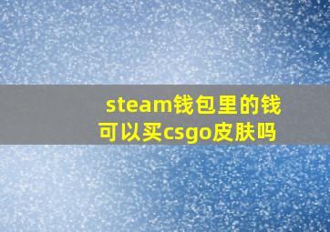 steam钱包里的钱可以买csgo皮肤吗