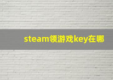 steam领游戏key在哪