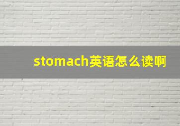 stomach英语怎么读啊