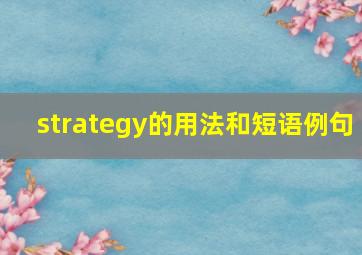 strategy的用法和短语例句