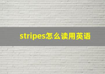 stripes怎么读用英语