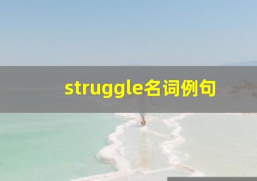 struggle名词例句