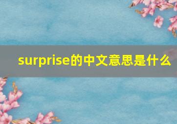 surprise的中文意思是什么