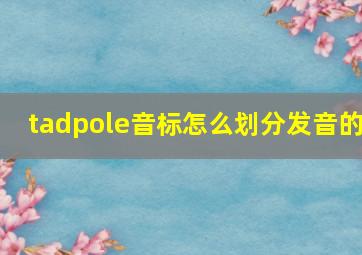 tadpole音标怎么划分发音的