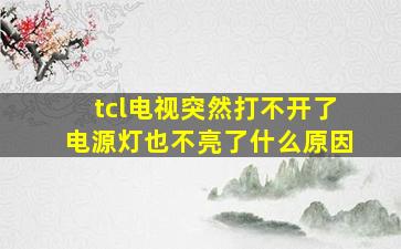 tcl电视突然打不开了电源灯也不亮了什么原因