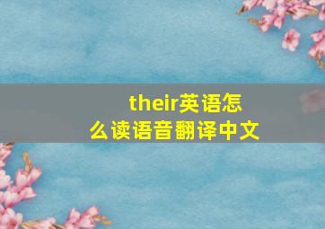 their英语怎么读语音翻译中文