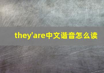 they'are中文谐音怎么读