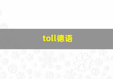 toll德语