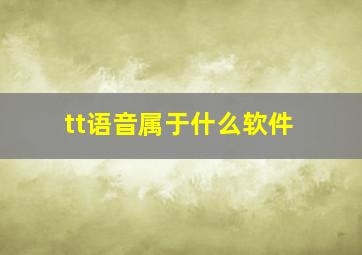 tt语音属于什么软件